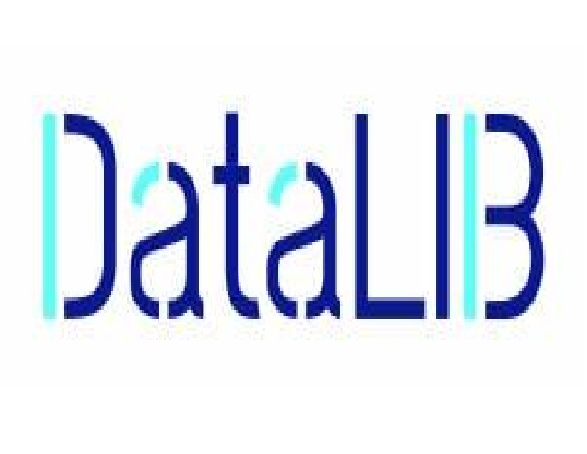платформа-datalib-ru